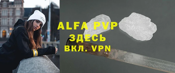стаф Абаза