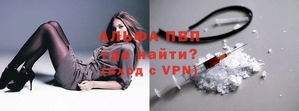 стаф Абаза