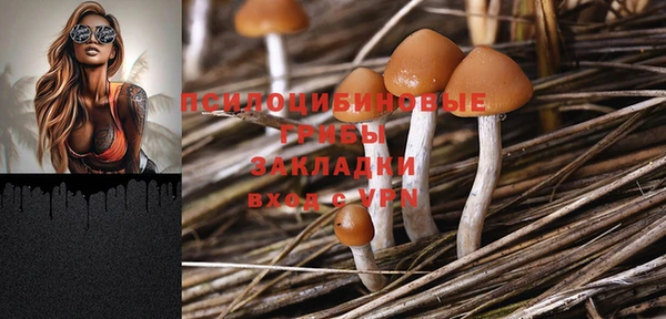 дмт Абинск