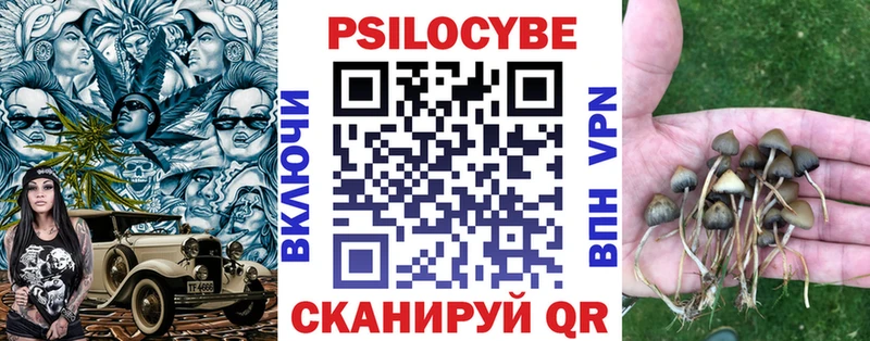 Псилоцибиновые грибы Psilocybe  Шлиссельбург 